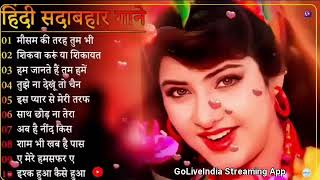 बेस्ट हिंदी सदाबहार गाने❤️ | Best Hindi Sadabahar Gane❤️| Evergreen Song Alka Yagnik,Udit Narayan |