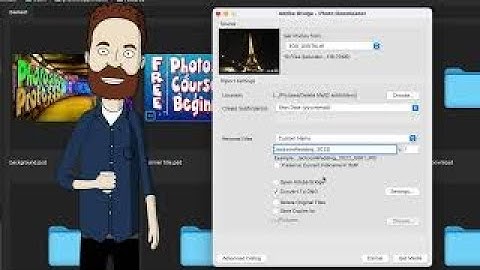 How to Download Images with Bridge (the Ingest Process)
