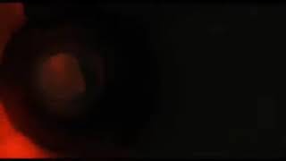 Igor 2008 Igor Slide