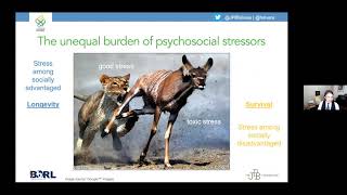Understanding the Impact of Early Life Stress and Resiliency - Research2Practice Webinar