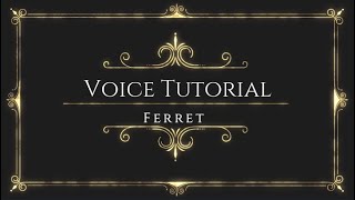 Voice Tutorial: Ferret (dooking)