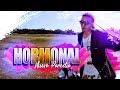 Sensualidad - Bad Bunny X Prince Royce X J Balvin HORMONAL parodia MONOLOCO Sensualidad - Bad Bunny X Prince Royce X J Balvin HORMONAL parodia MONOLOCO
