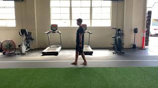 Loaded Heel-Toe Walk