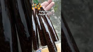 Mancing jatiluhur terbaru || Joran pendek pahul Ruyung panjang 75 CM #mancing #shorts