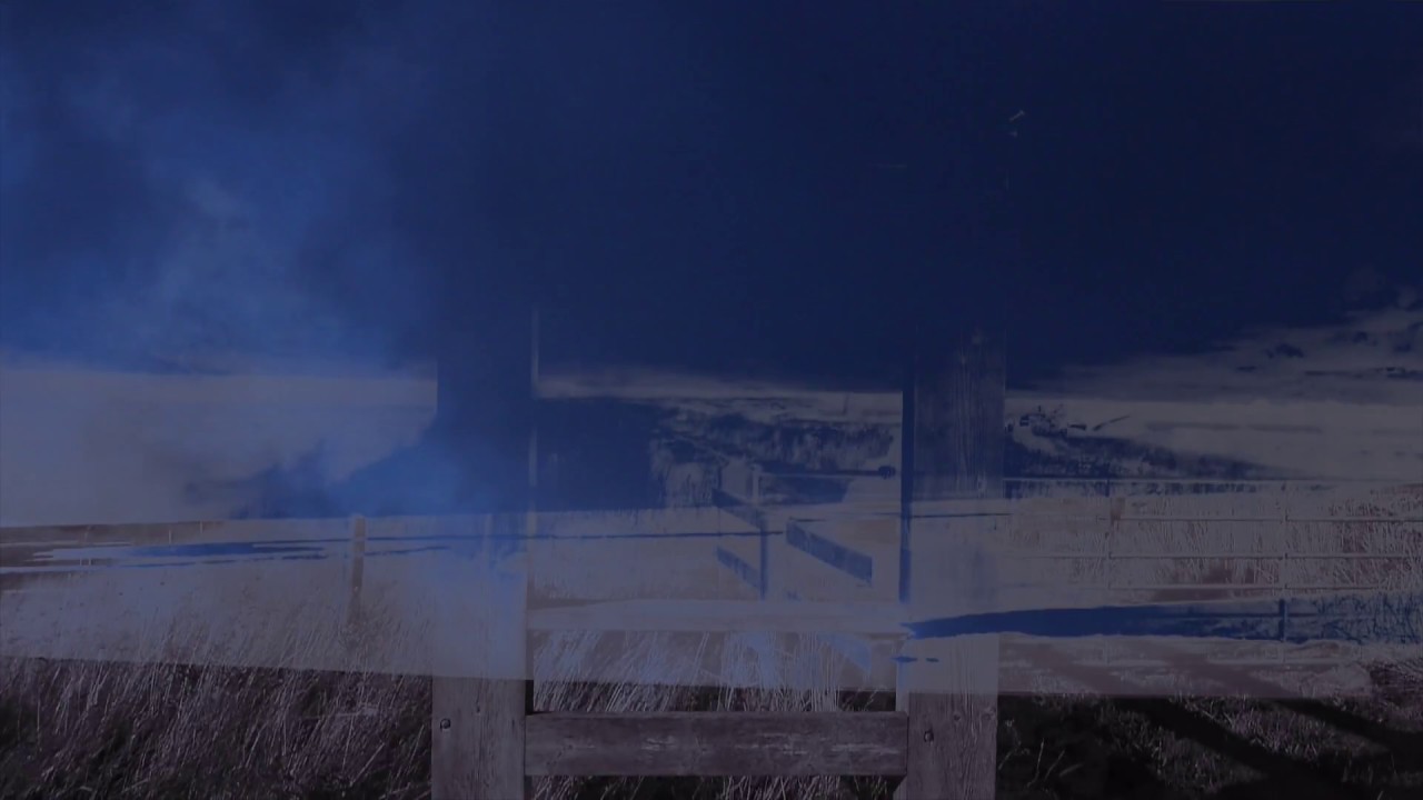 Brandon Vare - Moonlighting - [Jelly Roll Soul]