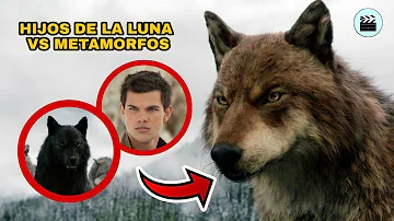 ¿Quién es el hombre lobo más grande de Crepúsculo?