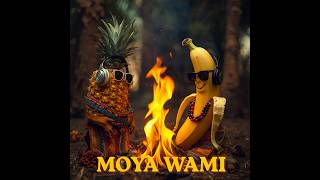 Moya Wami  Afro House Deep House  Soulful House  Deep Amapiano  2026 