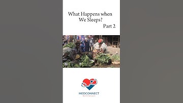 What Happens When We Sleep || Science Behind Sleeping || Why Sleep Is So important For Creatures ?||