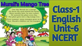 Lesson Plan of English 1st class Murali's mango tree 🌲🌴🌲🌴 NCERT Marigold book
