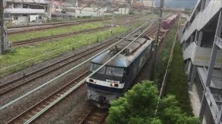 EF210【桃太郎】牽引貨物列車 平塚駅通過~屋根がよく解る~/Japan Railway/Japan Train
