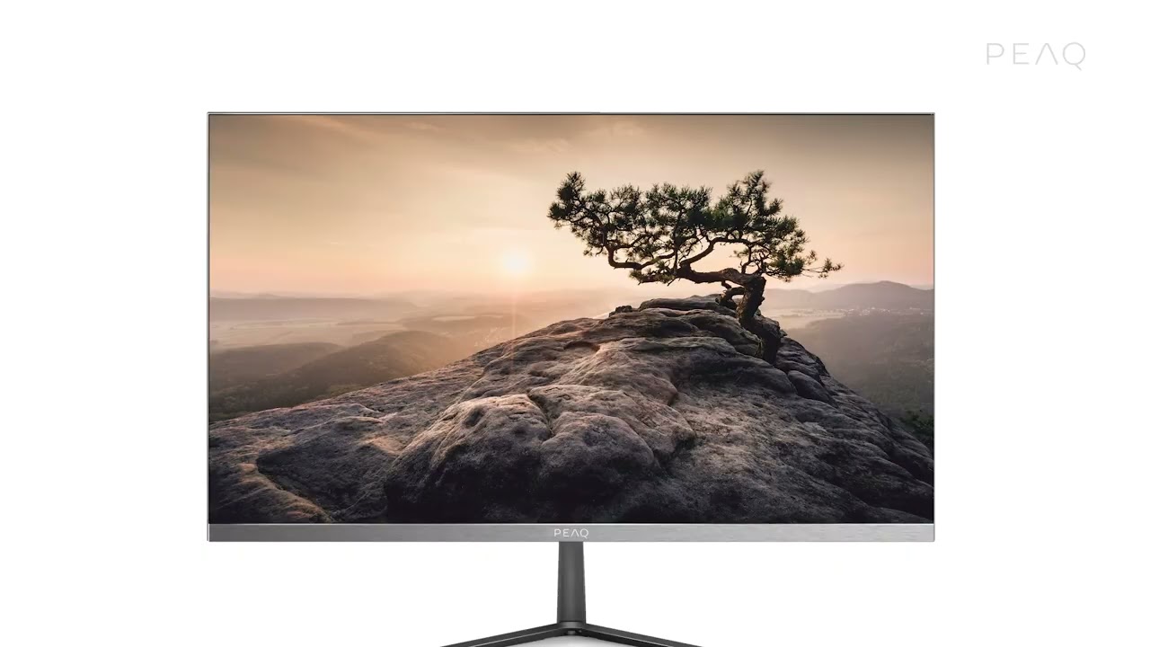 Peaq Pmo S242-VFC Full Hd Monitor