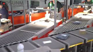 Loop crossbelt sorter Intelligent Logistics System Dimension Weight Scanning