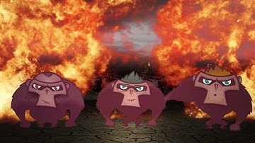 Flashback videoreportages 2012