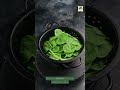 5 Vegetables You Can Grow with Zero Direct Sunlight #natural #food #garden #fruit #oil #love