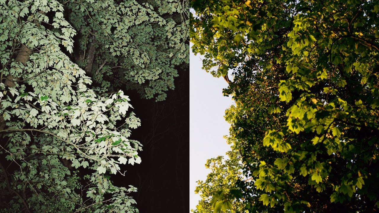 One Location Two Styles