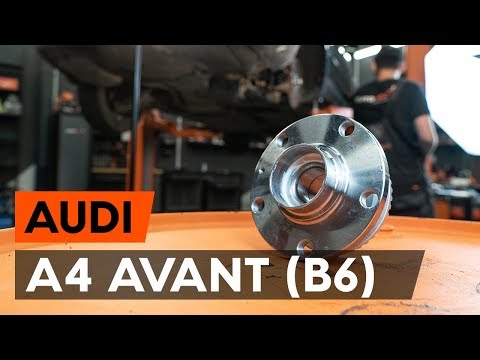 Как заменить подшипник задней ступицы/подшипник задней ступицы на AUDI A4 B6 (8E5) [УЧЕБНЫЙ МАТЕРИАЛ AUTODOC]