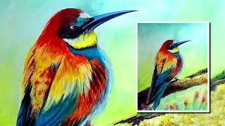 bird watercolor easy painting paint beginners colorful