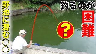 今までで一番釣るのが難しい魚に挑戦！！