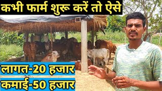 बहुत ही सस्ते में 22 के युवा ने बनाई गोशाला|How to Start Sahiwal Cow Dairy farm
