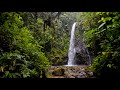 A beautiful Waterfall in the heart of Mashpi. Waterfall 4k Ultra HD Video/ Sleep/ Relax/ Anxiety.