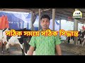 হলিস্টান ফি্রজিয়ান প্যাগনেট গাভী হাতবদল হবে
