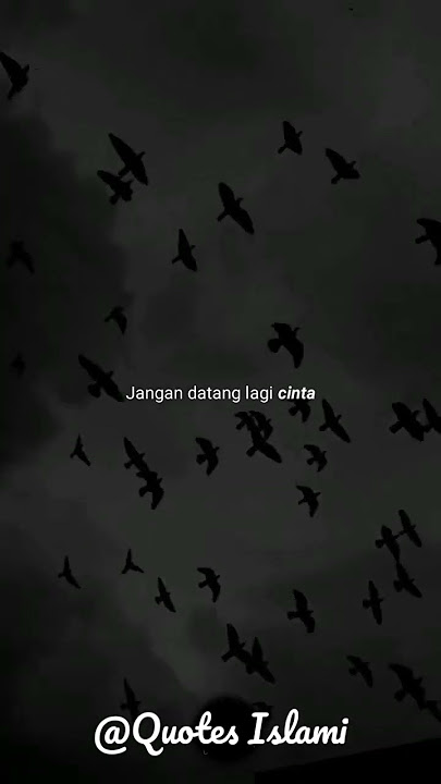 Jangan datang lagi cinta,, #shortsvideo #motivasiislam #yearofyou