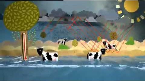 ROT-NUIM001-030 TV3.mp4