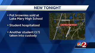 Deputies: Seminole County student accused of selling brownies with marijuana at high school