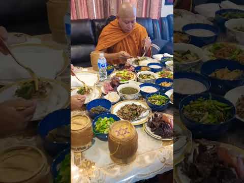 يا له من تنوع وجباتي اليومية