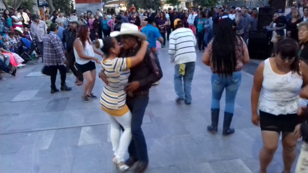 Abril bailando 🎶🎼cumbias🎤 🎵 camera iphone 8 plus apk