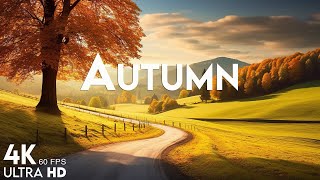 Autumn Melodies 🍁 Relaxation Film 4K - Peaceful Relaxing Music - Nature 4K Video UltraHD