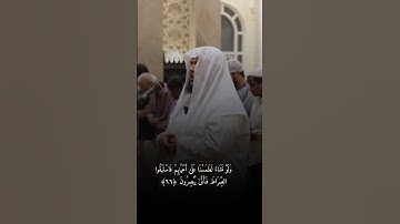سورة يس - القارئ الشيخ أحمد إبراهيم حسن