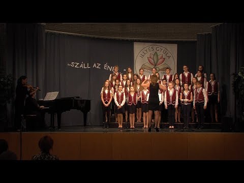 27 randevú 21 nyilvános számviteli randevúk