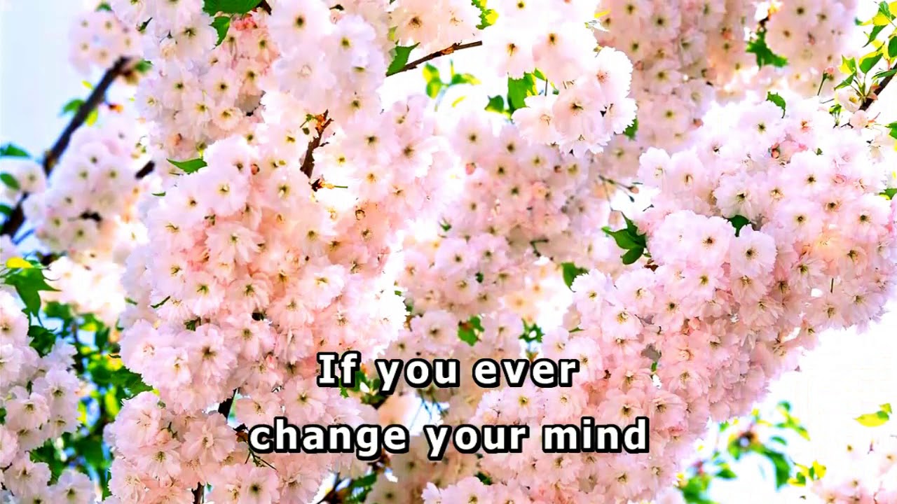 Karaoke - I Understand - G-Clefs - 4634