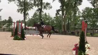 After All, Brave Horse 2017