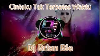 Cintaku Tak Terbatas Waktu Remix By Dj Brian Bie