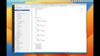 Translate JSON files with Super Coder -- Demo with VS Code