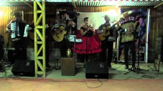 Video thumbnail of "07 - Silvanita y Los del Quincho - La samba ay Rosa (Lanzamiento disco Sáquense los Guantes)"