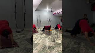 || bhujangasana or parvatasna flow || #games #yoga #workout #motivation