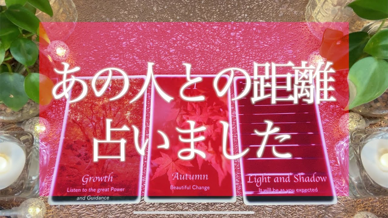 あの人とあなたの距離これからどうなる？怖いほど当たる恋愛💘 タロット占い💫オラクルカードリーディング🔮3択🔮