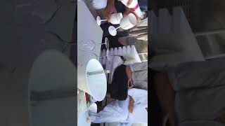 Statut Whatsapp Instagram Facebook Tik Tok Snap Story Fiesta Festival Vip Vodka Tail Belve