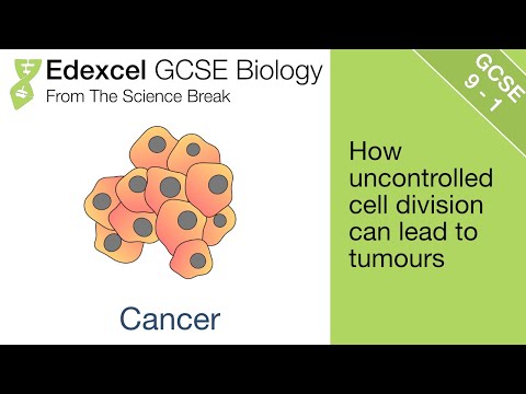 11. Edexcel GCSE