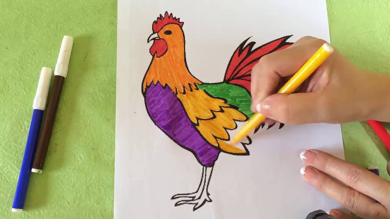 Bộ tranh tô màu con gà cho bé đẹp nhất dành cho bé Update 122022  DYB