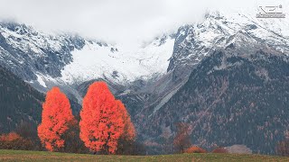 Soothing Piano Music Helps to Clear The Mind and Remove Negative Energy | Nature Melody