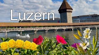 More tourists in Luzern than in previous years 2024  #luzern #schweiz #beautiful #village #2024.