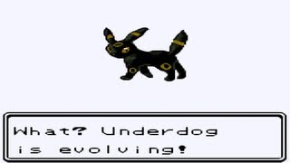 Pokemon silver walkthrough adventure! lets play silver! is my all time
most favourite game! subscribe to pimpnite ► http://bit.ly/pimp...