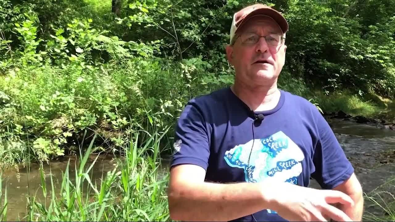 What's under that rock? Hopefully some aquatic insects
