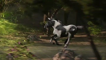 Blender animation. Running horse. 3D modeling.