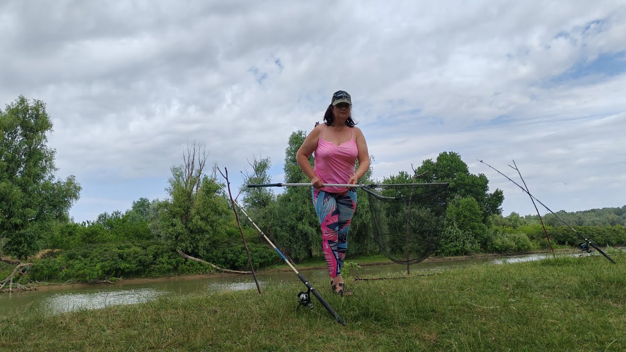 Ultima zi în Delta Dunării - Pardina #carp #danubio #romania