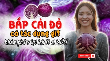 ĂN BẮP CẢI ĐỎ CÓ TÁC DỤNG GÌ? KHÁM PHÁ 7 LỢI ÍCH CỦA BẮP CẢI ĐỎ VỚI SỨC KHOẺ ÍT AI BIẾT